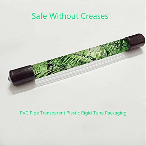 Green Frosted Stained Glass Window Cling Leaf Design Palm Trees Plants In Tropical Jungle Nature Self-Adhesive Privacy Protection Window Stickers Rainforest 23.6Wx59L-Inch #TOP4