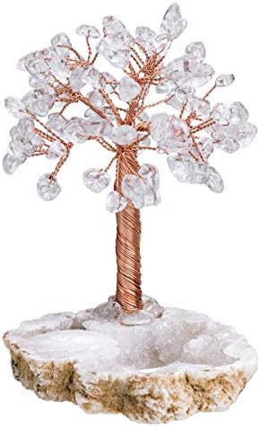 mookaitedecor Natural Fluorite Healing Crystals and Gemstones Tree,Stone Money Tree Feng Shui Ornament with Rock Quartz Geode Base