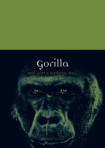 Gorilla (By: Ted Gott)