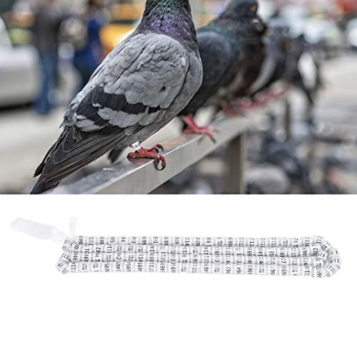 duiven beenband, 100 stuks vogel voetringen geen concurrentie duiven voetringen simulatie training beenbanden wit - Afbeelding 3