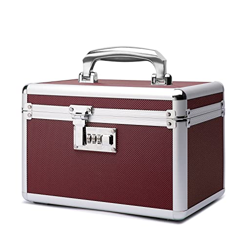 Hewei Works Boîte à médicaments verrouillable avec étui de rangement portable, 26 x 17 x 17 cm, avec sécurité enfants, boîte verrouillable pour argent, documents et médicaments (marron/petit) Cover