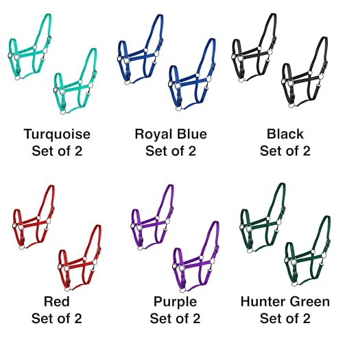 Cabestros para caballos con herrajes resistentes de oro rosa y ajuste doble Majestic Ally 3
