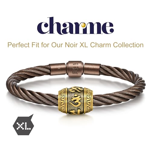 CHOW SANG SANG Bold Twisted Stainless Steel Chestnut Brown Bracelet for Women & Men 19cm3