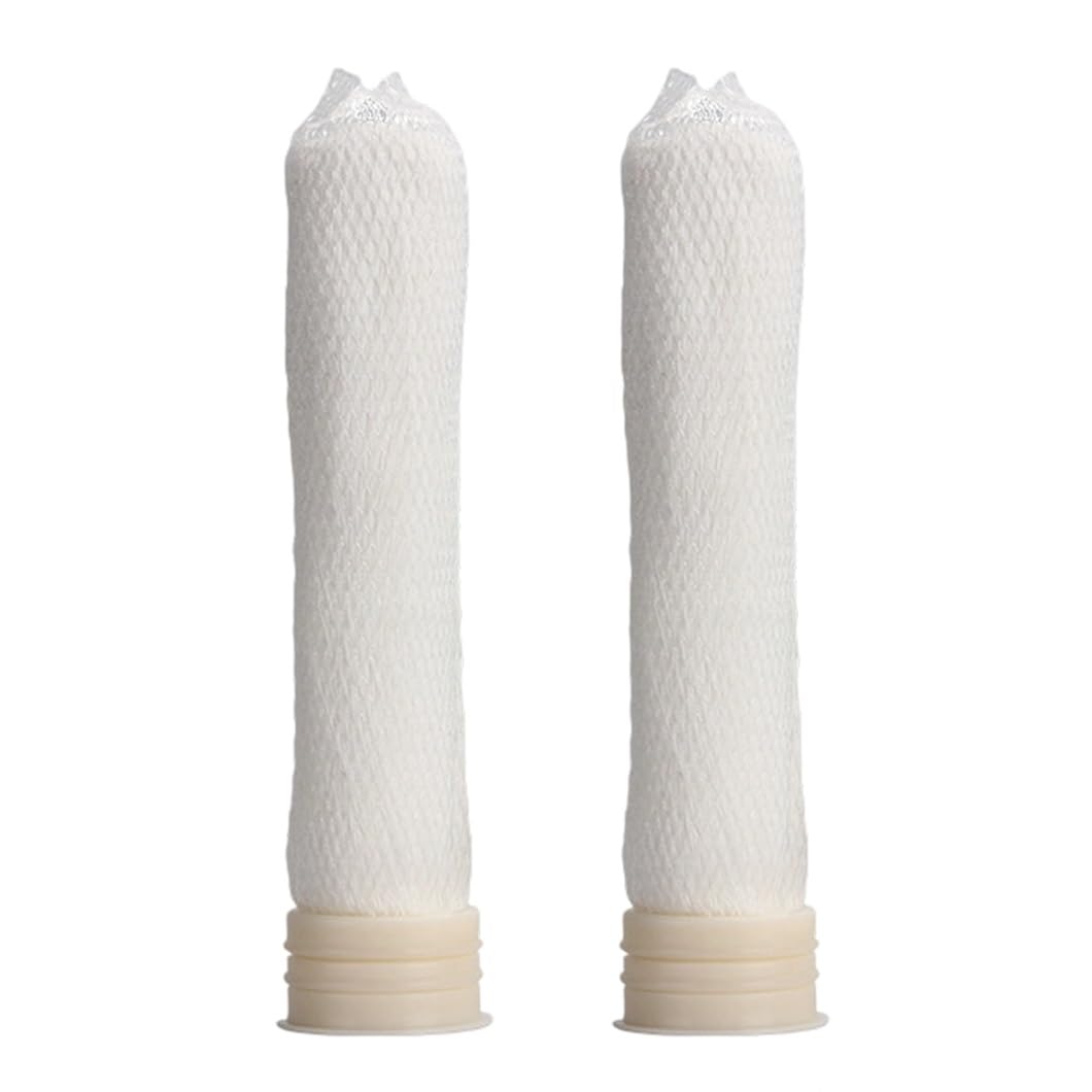 Membrane ultrafiltration PES 1812 avec son boîtier universel pour filtre eau domestique