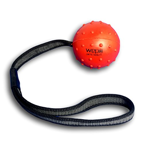 WEPO Juguete para perros  pelota con cuerda de caucho natural  para cachorros  pelota de lanzamiento para perros  pelota con cuerda/cuerda  color rojo