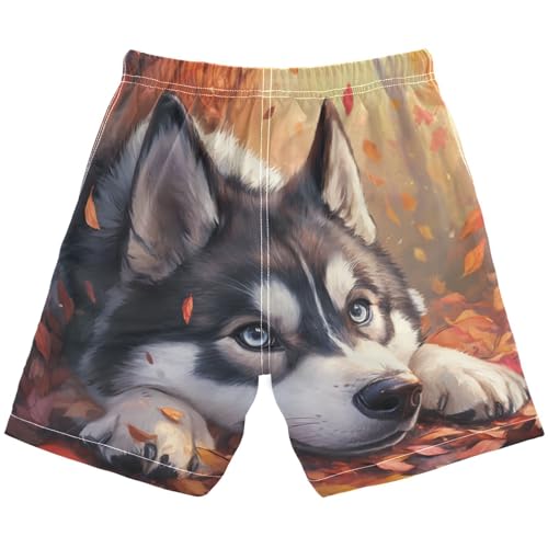 DOMIKING Husky Leaves Orange Boys' Pull On Swim Trunks Quick Dry Boardshorts with Mesh Lining for Child Boy M2