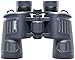 Bushnell BSH134211 H2O Series 10x42 Wp/fp Porro Prism Binoculars