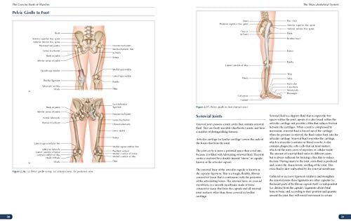 The Concise Book of Muscles Fourth Edition