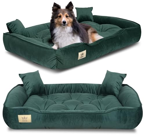 KING DOG Letto per Cani Grande Taglia L 100x75 cm | Morbido e Accogliente per Animali Domestici | Divano Adatto al Lavaggio | Cuccia Interno | Brandina Verde