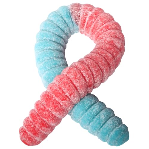 Largest Gummy Bear in the World The Gummy Bear Guy | SOUR World's Largest Gummy Worm | Cherry/Blue Raspberry (Cherry/Blue Raspberry)