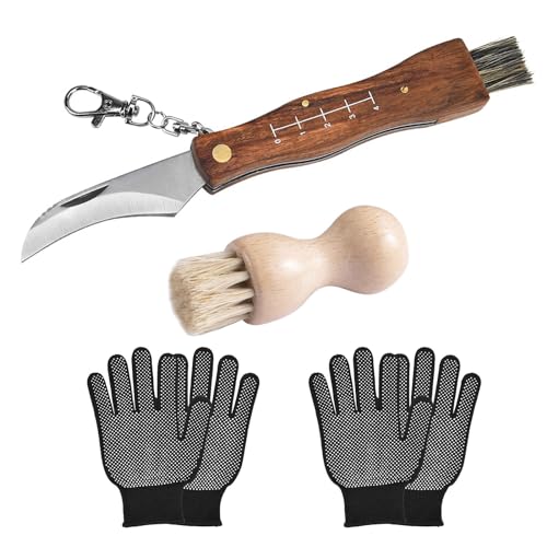 DAGORD Pilzmesser mit Bürste und Lineal Taschenmesser Klappmesser Edelstahl Pilzsammler Messer für Champignon Trüffel Mushroom knife mit Handschuhe Pilzbürste