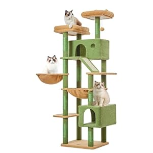 Taoqimiao Cactus Cat Tree , 71-Inch Cat Tower for Indoor Cats Large Adult, Multi-Level Large Cat Condo with 8 Scratching Posts, Scratch Board for Cats, Cozy Hammock, 2 Pompoms, MSC026L