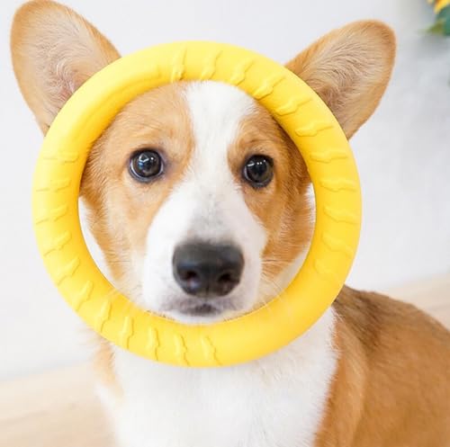 Image of Petarchi RuffFoam Puller Rings for Dogs - Soft Yet Durable Patented Foam Material | Safe on Teeth & Gums, Lightweight Fetch & Tug Toy Water-Friendly Training Ring | Large Size (28-30cm Outer Diameter)