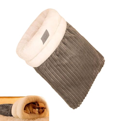 Loigohon LpQ ~p _炩f ^ @蕗 ybgxbh ^LΉ ʋC 􂦂 O[J[