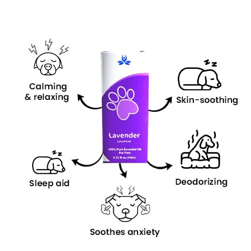 Aceite Esencial de Lavanda Pet-Friendly - Botella 10ml miniatura 3
