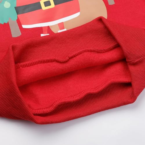 Image of Akyzic Baby Boys Dinosaurs Hoodie Boys Shark Pullover with Pocket Kids Truck Warm Sweatshirt Sweater