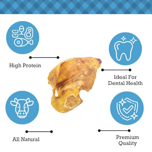 Country Living Whole Pig Ears Dog Treats - 100% Natural, Premium Pork Chews for Dental Care, High Protein & Low Fat, Fully Digestible Snacks for All Breeds & Sizes – (15/Pack) - Thumbnail 4