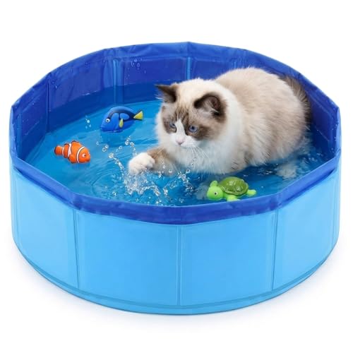 Katzenpool 30x10 cm Hundeplanschbecken und Hundepool Klein Ideal für Katzen und kleine Hunde in Wohnungen Faltbarer Pool zur Abkühlung und Unterhaltung (Blau)