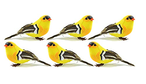 American Goldfinch Feather Bird on Wire - Juego de 6 plumas de pájaro de 10 cm Cover