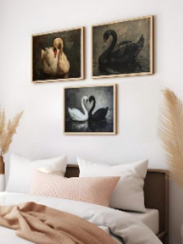 Affiches d'animaux Art Decor cygne noir et blanc avec cadre