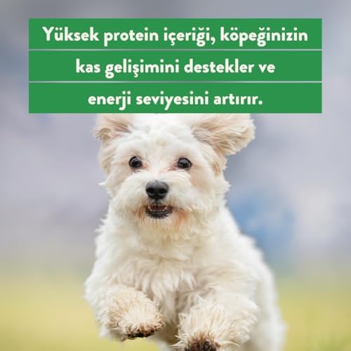 Kito Kurutulmuş Dana Kuyruk Çiğnemelik Köpek Ödül Maması%100 Doğal, Glutensiz, Organik 100 gr(Dog Treat) - Görsel 5