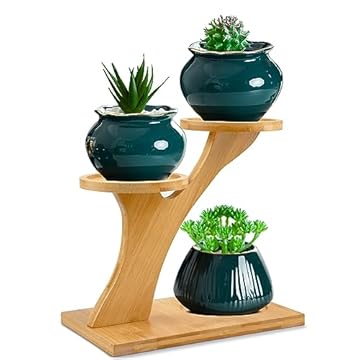 Transform Your Space with These Indoor Plant Stands for Small Areas 1 best indoor plant stands for small spaces