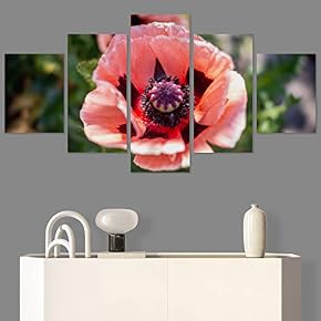 SIGNWIN 5 Panel Canvas Wall Art Flora Snapshot...