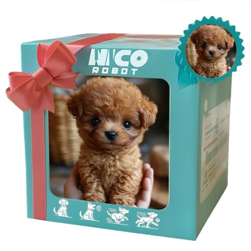 2025NX}[gAI{bgAAȃ{bĝA̍ō̃{-bgqAAI{-bgʂ݌A{̌̂悤ɓ - AiAKU A