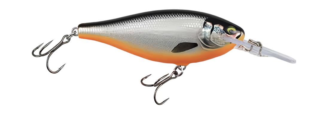 Esca di pesca esca d'élite, 1, RA5823197