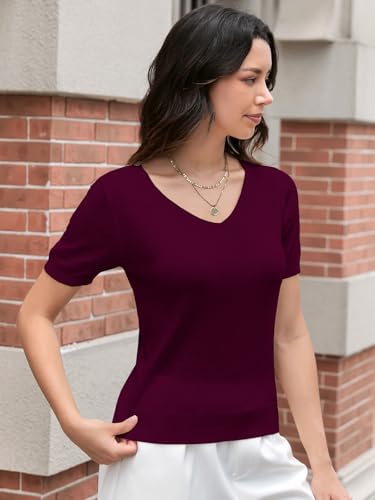 Image of DAIMIDY Women's Short Sleeve Sweater V Neck Summer Knit Tops | Business Casual Tops| Soft,Lightweight,Breathable and Comfortable| Perfect for Shopping,Date,Vacation,Daily Wear Etc.
