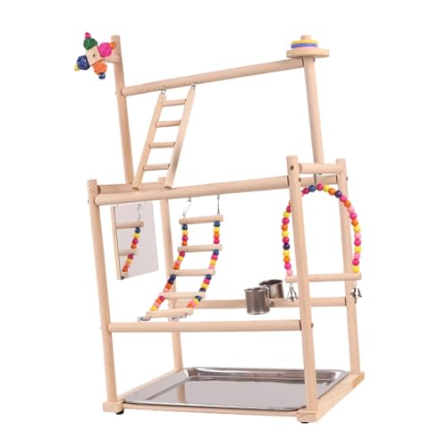 Bothyi Parrot Playstand,Parrot Bird Playground,Exercise,Activity Center Perch Perch Gym Playpen for Parakeet Budgie Finch
