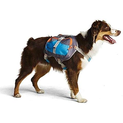 Mochila Cesar Millan para Perros Cover