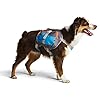 Adventure-Ready Cesar Millan Dog Backpack – Small Size for Active Canines