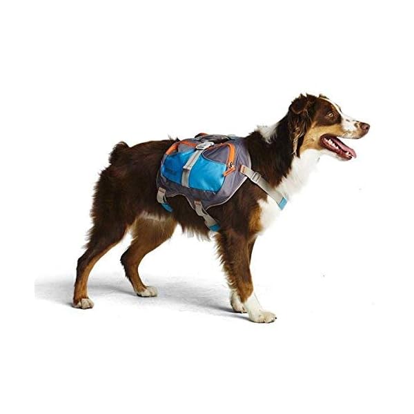 Cesar-Millan-Dog-Backpack-Small Adventure-Ready Cesar Millan Dog Backpack - Small Size for Active Canines