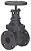 Gate Valve,Class 125,3 in.