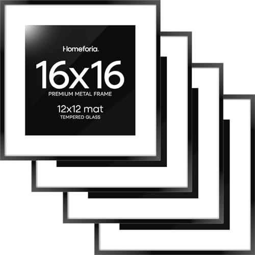 Homeforia 16x16 Picture Frame Set, Black Metal 16x16 with Mat 12x12