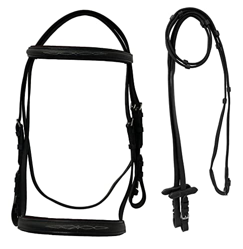 Equitem Leather English Fancy Stitched Padded Bridle with Matching Web Reins (Black, Cob)