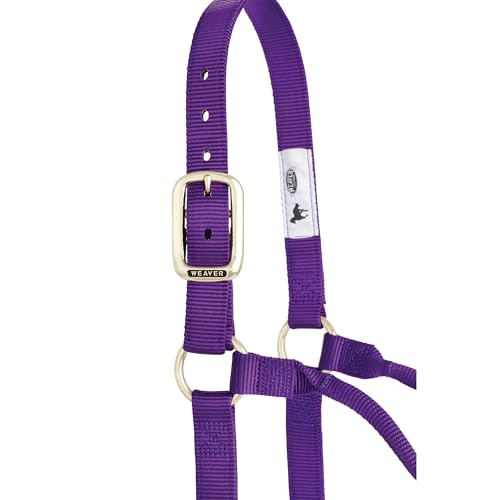 Licol nylon violet Weaver S : la solution fixe contre les dérèglements de muserolle - 3