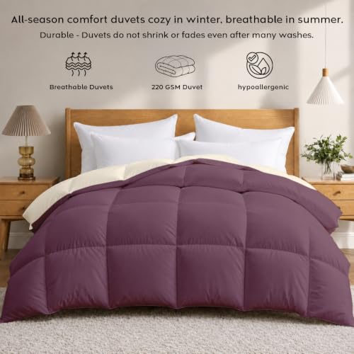 Image of AYKA Reversible Comforter 220 GSM Microfiber Reversible AC Comforter /Blanket for Winter /Quilt /Dohar /Duvets for King Size Blanket /Comforter Double Bed (Plum & Pearl, 60 * 90 inch)