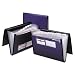 Pendaflex 52670 Professional Expanding Document Organizer, Letter, 7 Pockets, Blue (PFX52670)