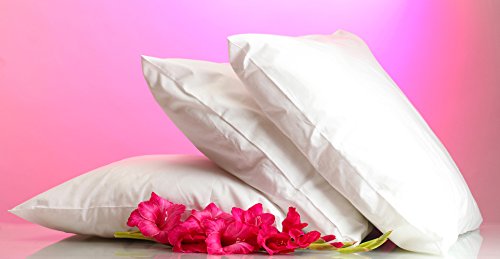 Welt-der-Träume Oreiller Duvet - Oreiller 40 x 40 300 g - 60% Duvet & 40% Plumes Cover