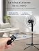 Imagen de Taylor Swoden Ventilador de pie con Mando, 7 Aspas