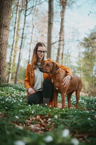 HUNTER Hundehalsband WOLMAR aus BioThane® und Leder, robust, wasserabweisend, pflegeleicht, Kontrastnaht, Made in Germany, Farbe: Khaki/orange, Größe: 55