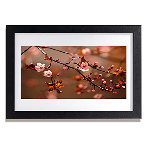 Affiche fleur encadrée 30x20 cm Tulup une ambiance poétique pour votre chambre