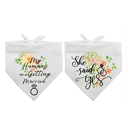 Family Kitchen My Humans Are Getting Wedding Married And She Said Yes Dog Bandana，Pet Scarf Accessories,Pet Accessories For Dog Lovers，Pack Of 2 #TOP10
