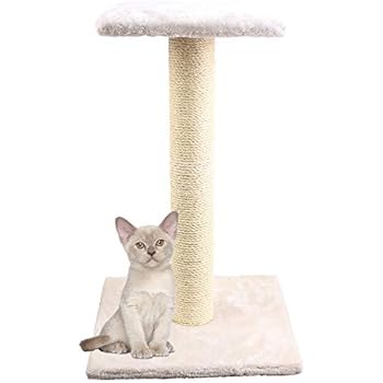 tall cat scratching post with platform
