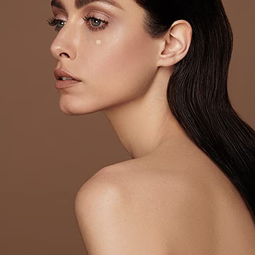 Perfect Corrector 03