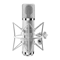 SUUNTOK FET Condenser Microphone Professional XLR Studio Microphone with 34mm Large Diaphragm, Cardioid Recording Mic Computer Gaming PC TM251S Mic Kit for Singing, Podcasting, YouTube - Gray