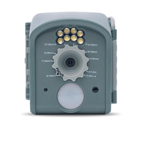 Jacobi Jayne Smart Bird Camera Birdcam Motion-activated Digital Camera - Wireless Smart Bird Feeder Camera For Outdoor Bird Feeders. Bird camera.