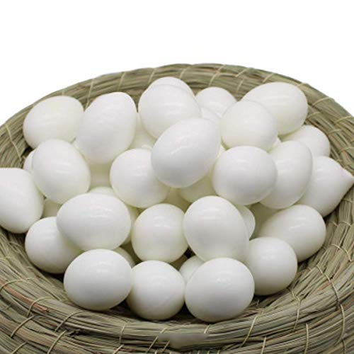 vctas Plastic Pigeon Eggs (Pack of 10) Solid Fake Pigeon Eggs Simulation Bird Eggs White Premium Dummy Eggs for Racing Pigeons & Hatching